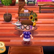 Image for article titled The Terror Of Returning To Animal Crossing After Nearly A Year